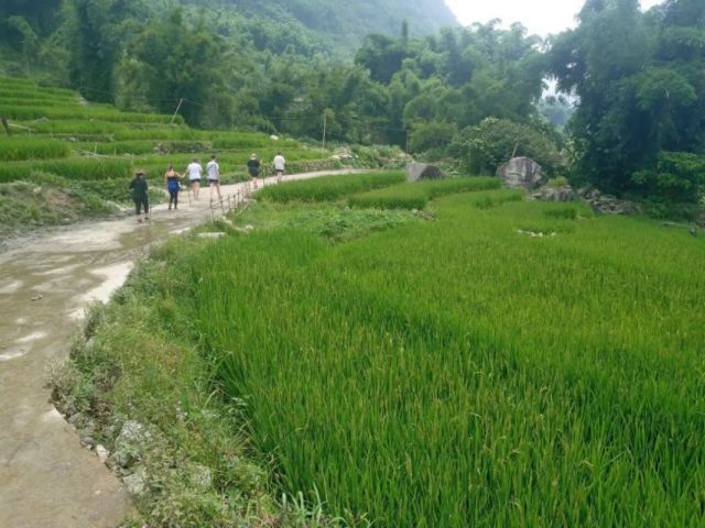 Excursion de 5 jours : Sapa Tribus village - Paysages de Ninh Binh et Croisière Hailong dans la baie d'Halong -