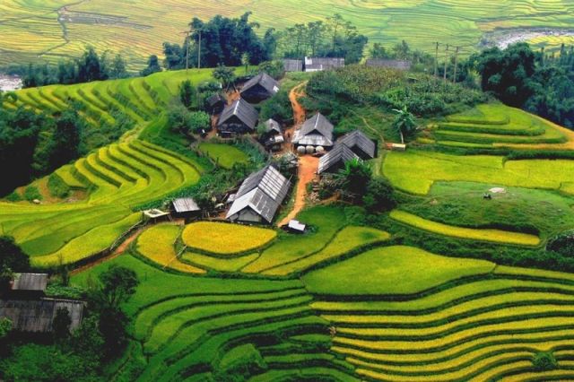 Excursion de 5 jours : Sapa Tribus village - Paysages de Ninh Binh et Croisière Hailong dans la baie d'Halong -