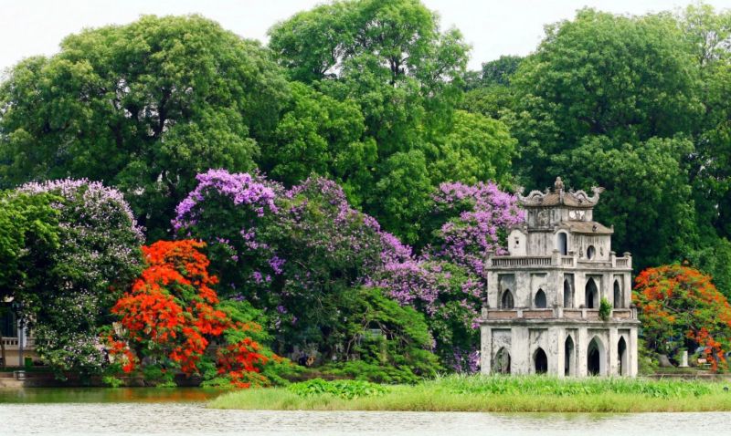 Hanoi à la saison des lilas des Indes