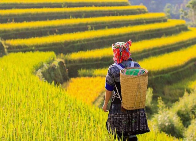 HÀ NỘI SAPA 2 NGÀY 1 ĐÊM